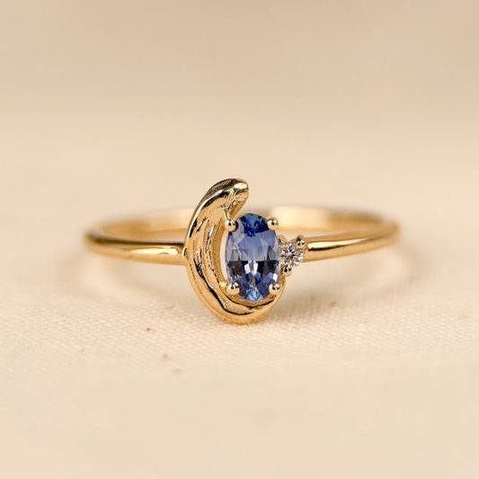 Paris Blue