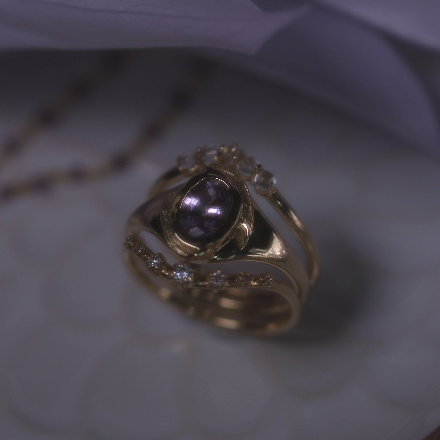 Lavender