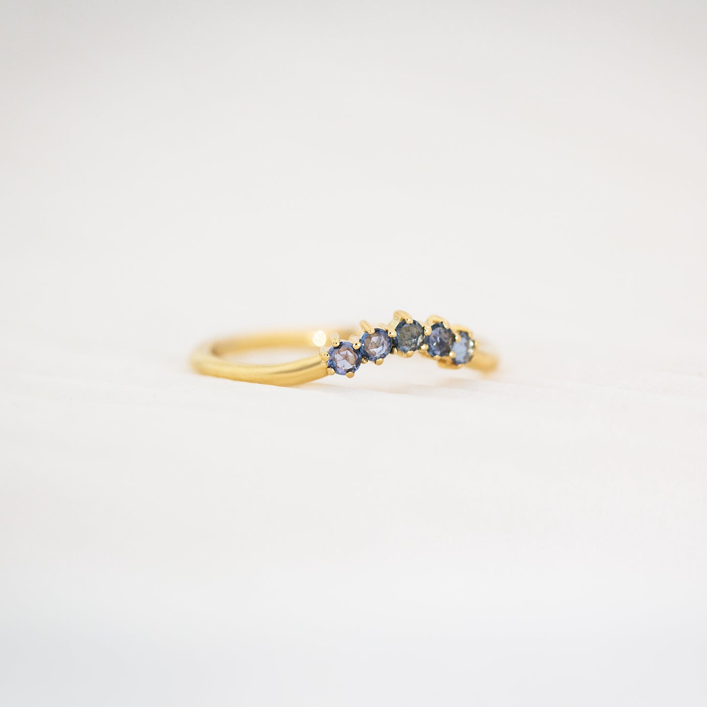 Blue Poppy