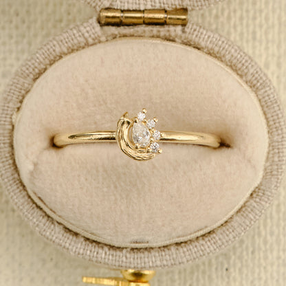 Le Conte Brushed Glimmer ring in 14k yellow gold with a pear-shaped diamond, four round diamond accents, and a curved gold brushstroke, shown in a cream velvet box.