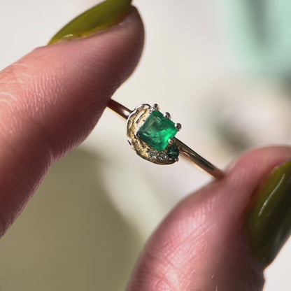 Verdant Green